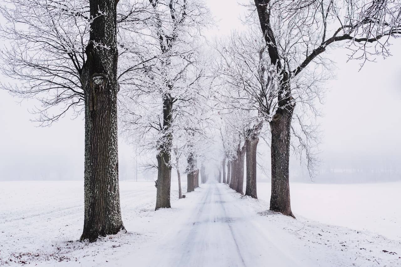 6 Ways to Prepare for a Snow Storm