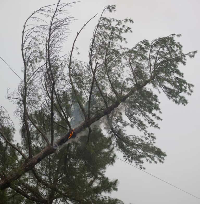 Weather Resilience in South Carolina with Generac Canter Power Systems